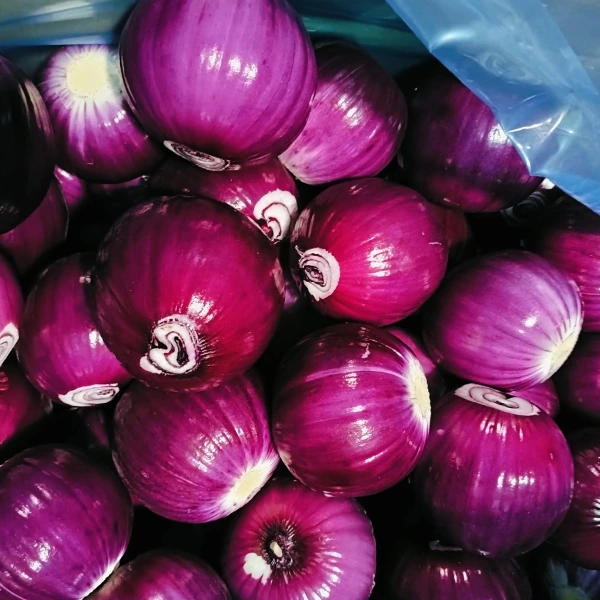 El procesamiento de alimentos de Huaang gana participación de mercado con una calidad estable