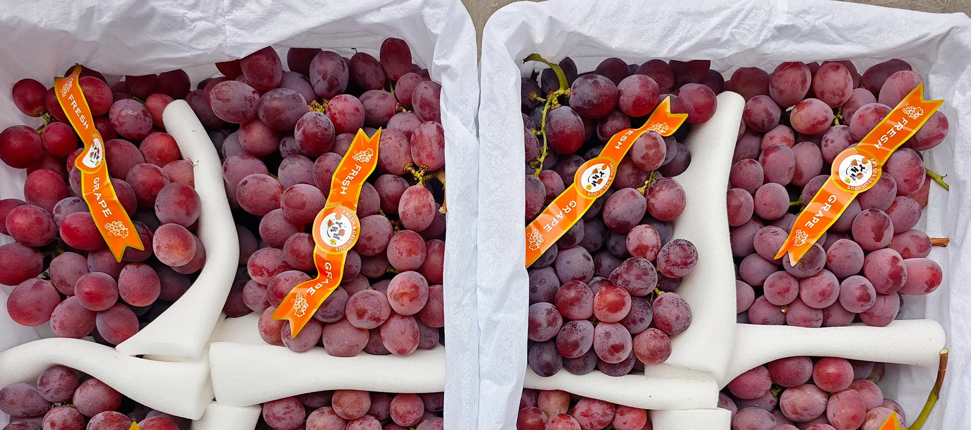 Proveedor de uvas frescas premium de China