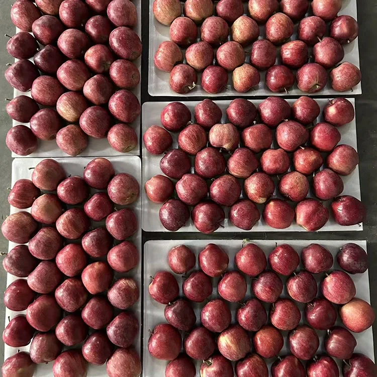 Manzanas estrelladas de color rojo brillante