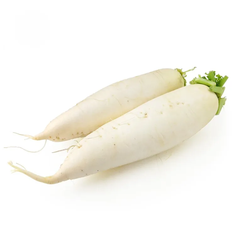 Rábano Blanco Crujiente