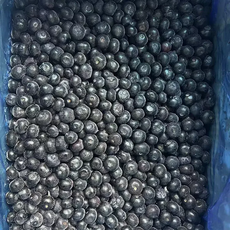 Arándanos Congelados Arándanos Premium IQF