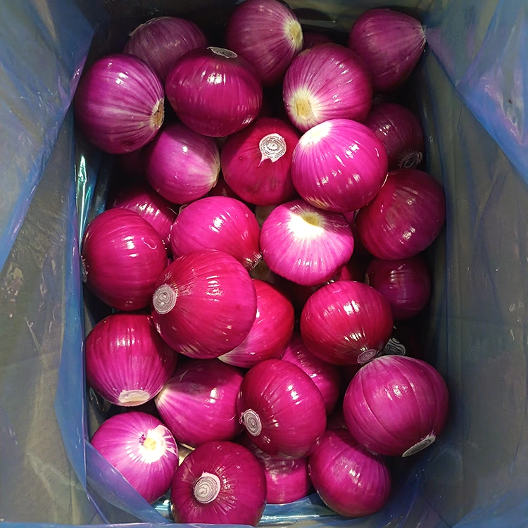 Cebollas peladas de alta calidad
