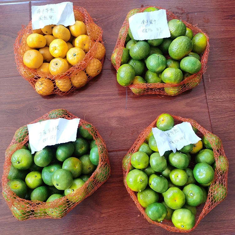 Fresh Honey Mandarin