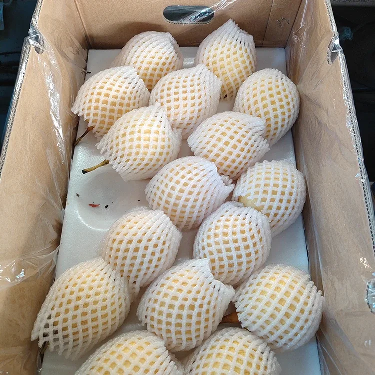 Freshly Harvested Ya Pear