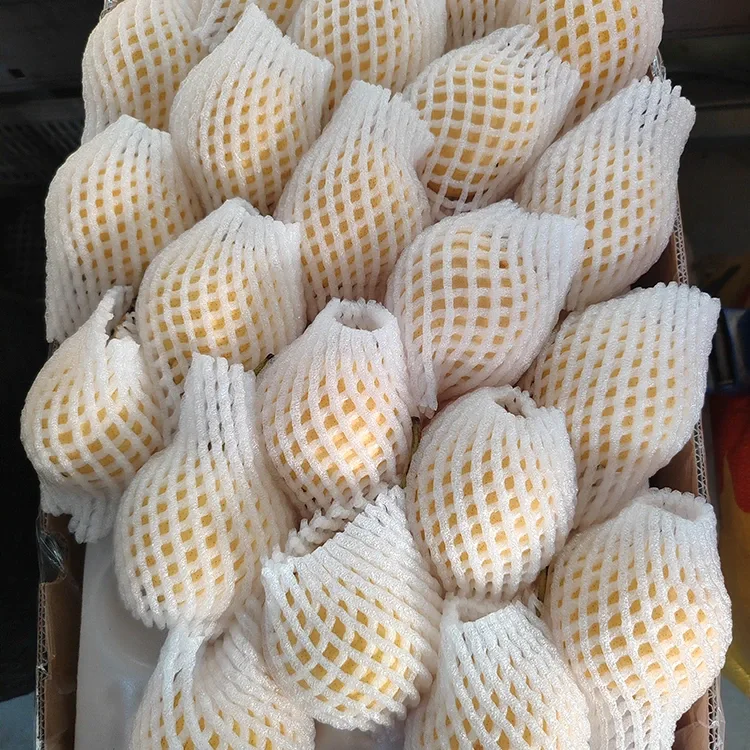 Freshly Harvested Ya Pear