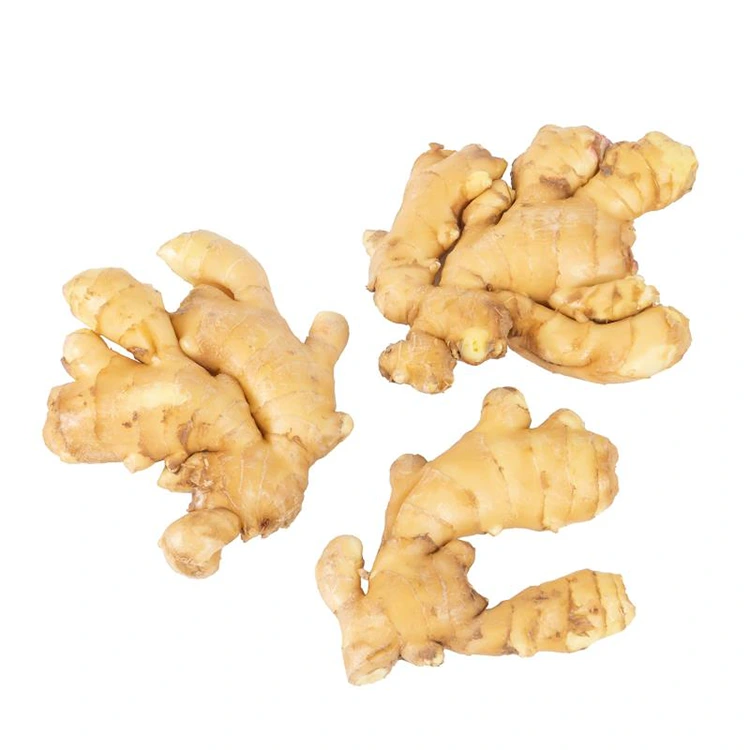 Spicy Fresh Aromatic Ginger