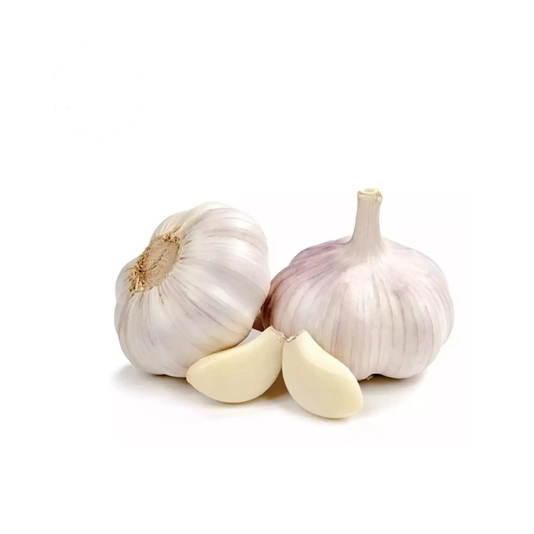 Ajo Blanco Normal Premium Firme y Relleno