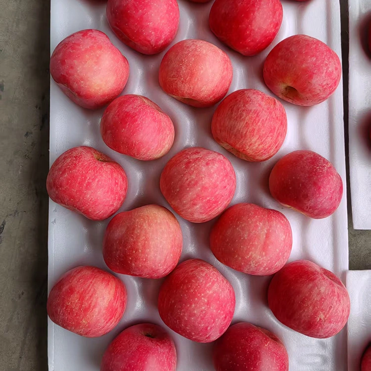 Manzanas Fuji frescas de primera calidad