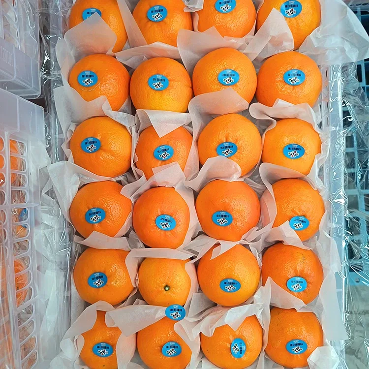 Mandarinas Wogan dulces frescas premium