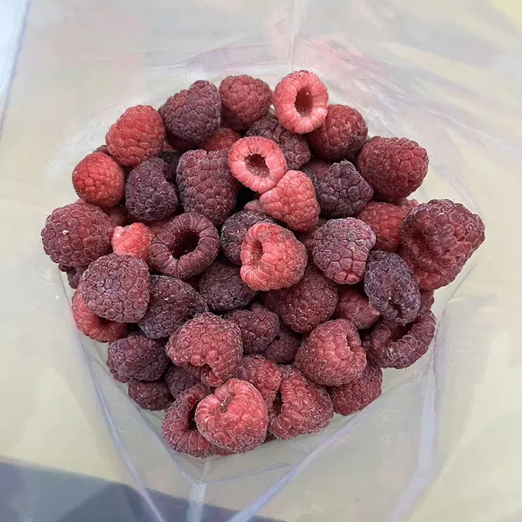 Frambuesa Roja Entera Congelada Premium IQF
