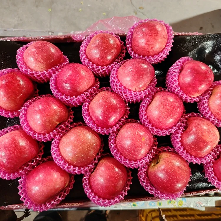 Manzanas Jiguan frescas superiores